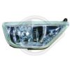 DIEDERICHS 1415289 Fog Light